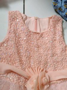 Cute peach Party Dress