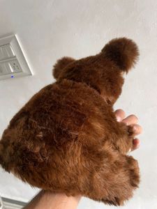 New Teddy Bear 🧸