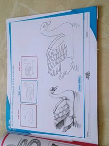 A Drawing Book