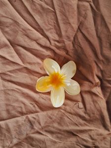 Flower Claw Clip🌸