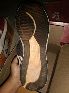 Sports Shoe