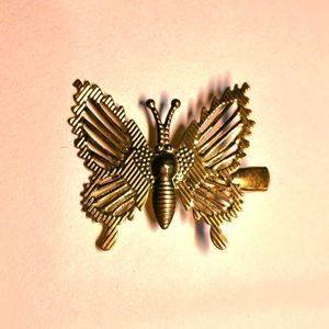 Butterfly Hair Clip🦋⚜️