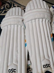 DSC Cricket Batting Pads