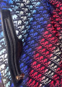 Luxury Christian Dior Bag