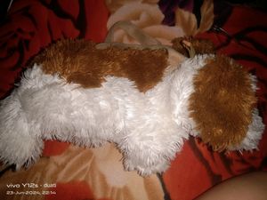 Cute Puppy Bag