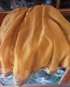 Embroidered Lehenga Choli