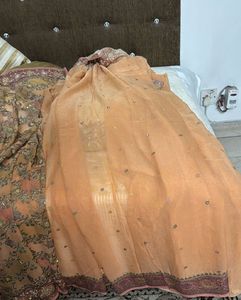 Pure Georgette Saree