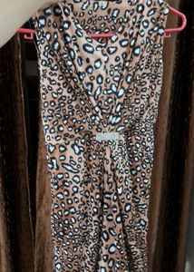 Leopard Print Dress