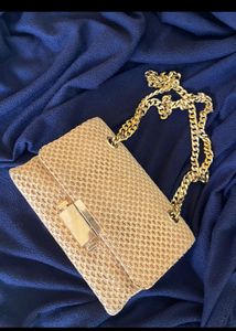Price Drop‼️ Aldo Bag