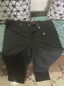 formal pants