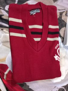 Dav Public School Sweater