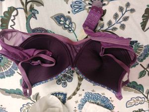 Clora Purple Bra