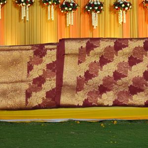 Elegant Brown &amp; Gold Saree