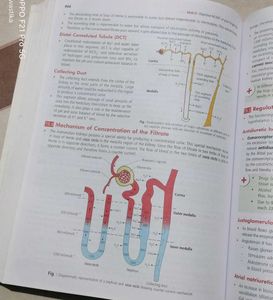 MTG Objective NCERT Biology XI-XII