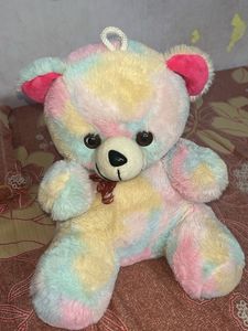 Colourful Teddy Bear