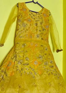 Elegant Ethnic Gown