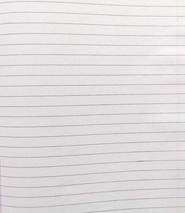 Fullscape Single Line Notebook.