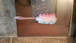 Loofah