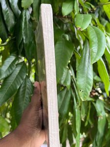 Never Let Me Go by Sachin Garg