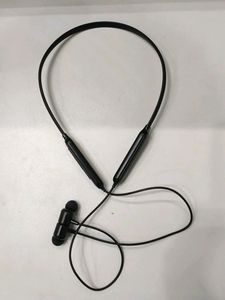Earphones
