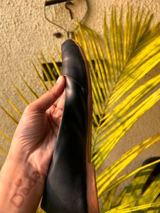 Black Belly Shoe
