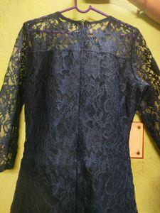 Navy blue Net Bodycon Dress