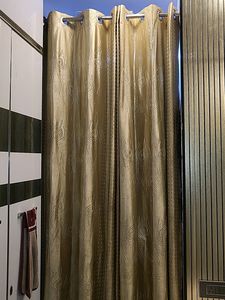 Curtain