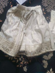 Elegant Choli Suit