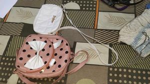 Combo Of 2 Bags
