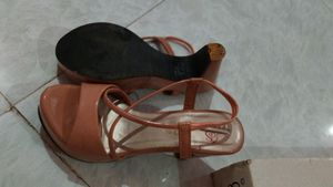 High Heels 👠 (Never Worn)🤩