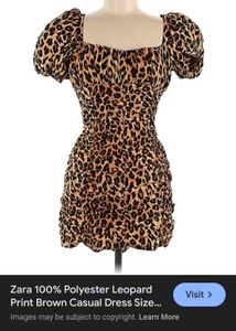 Leopard Print Mini Dress