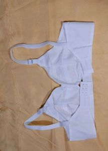 Nagina -Women Bra