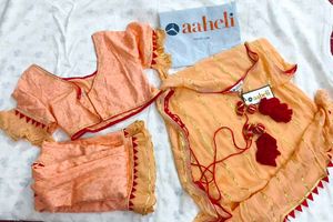 Aaheli Darshikha Peach Lehenga Coverup XXL
