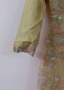 Beautiful Organza Pakistani Suit👗