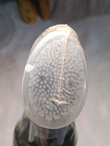 Vitamin C Foaming Face Wash