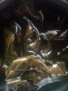 Swethakutaja leafe extract oil