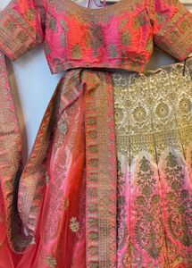 Gorgeous Lehenga Choli