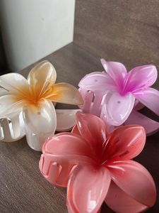 Flower hair claw clutch korean