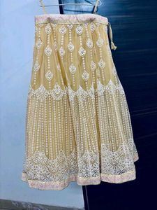 Vert Beautiful Light Mustard Colour Lehnga