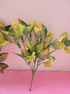 Green Red Shaded Leaf Set