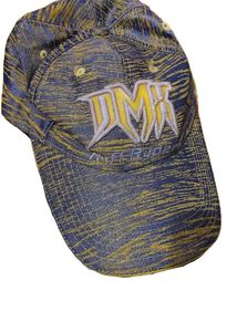 DMX Mean CAP