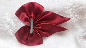 Cute  Hair Clips