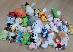 Kawaii Plush Keychain Collection