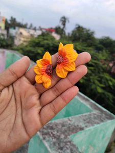 Sunflower 🌻