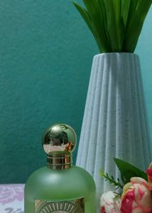 Paris Corner- Pear Potion (Emir)