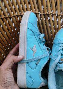 Sea Green Sneakers From Australia For 6 Yr Girl
