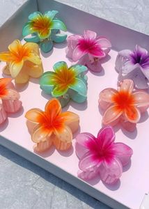 Claw Clips