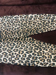 Cheetah Skin Activewear Pants – Khaki Dominant |
