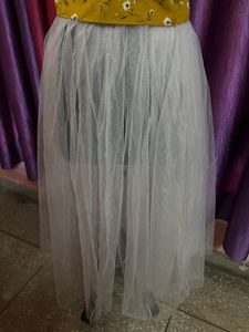 Crop Top With Sheer Skirt