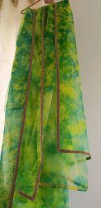 organza saree